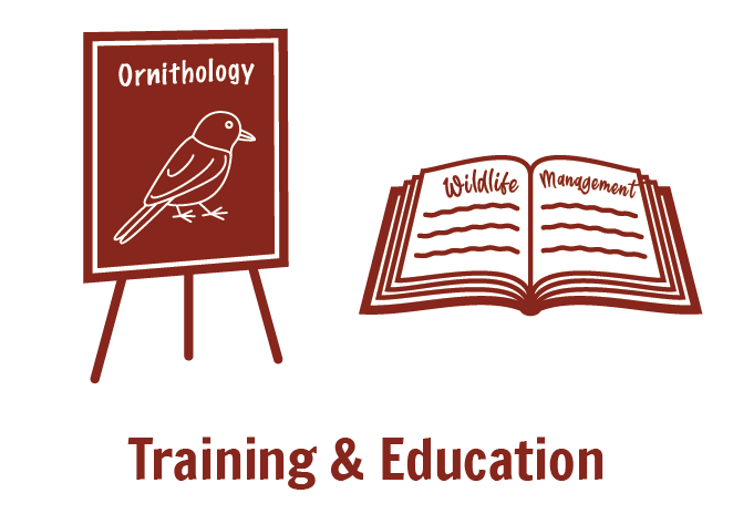 do's-dont's_training & education